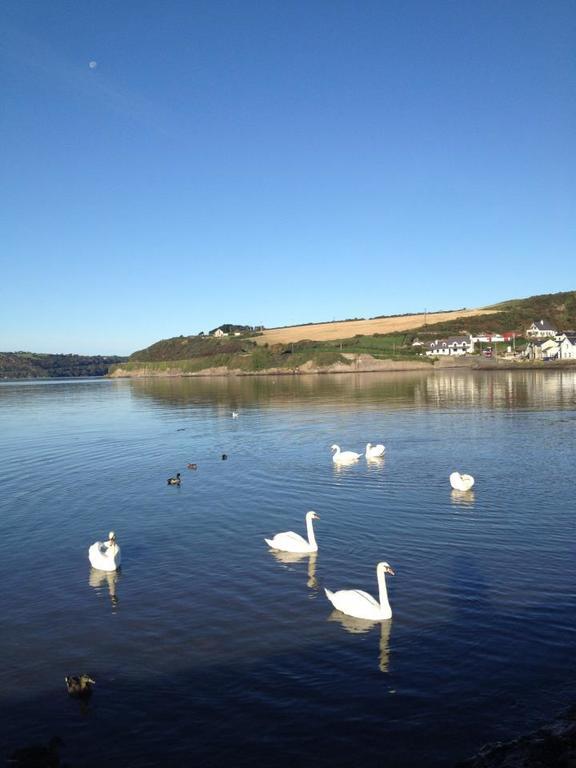 Marsh Mere Lodge Arthurstown Экстерьер фото
